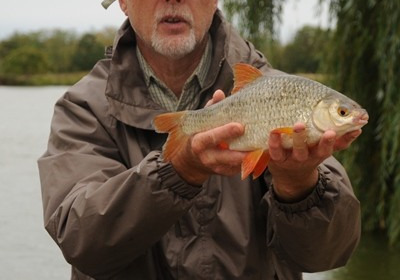 A fish from Vincons, Bill Hall, Sep 2012