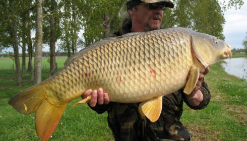 A carp from Vincons, Steve & Alan, Apr 2008
