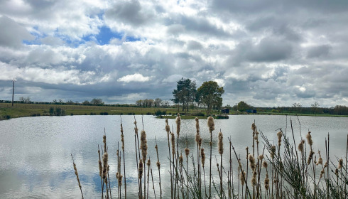 Heart Lake, Exclusive Carp Fishing France with Accommodation, lake photo 18