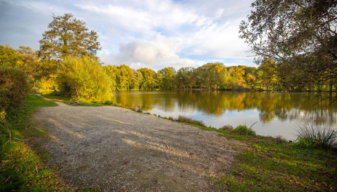 Autels, Carp and Catfish Fishing in France, lake photo 7