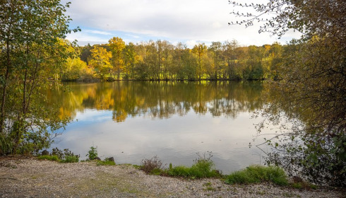 Autels, Carp and Catfish Fishing in France, lake photo 13