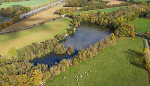 Autels, Carp and Catfish Fishing in France, lake photo 4