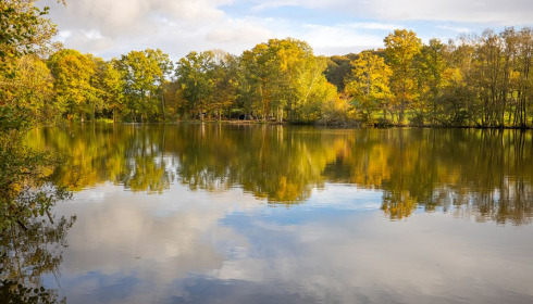 Autels, Carp and Catfish Fishing in France, lake photo 3