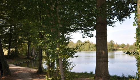 Autels, Carp and Catfish Fishing in France, lake photo 4