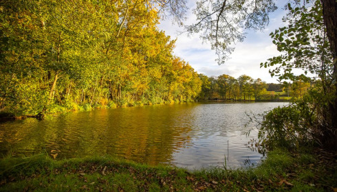Autels, Carp and Catfish Fishing in France, lake photo 25