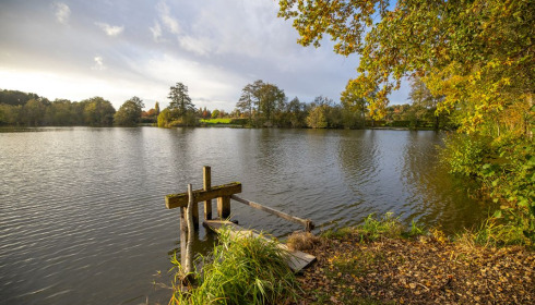 Autels, Carp and Catfish Fishing in France, lake photo 20
