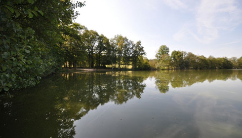 Autels, Carp and Catfish Fishing in France, lake photo 29