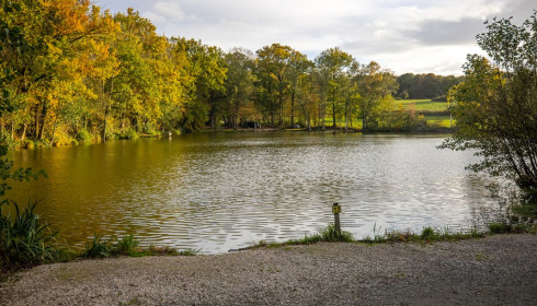 Autels, Carp and Catfish Fishing in France, lake photo 11