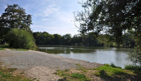 Autels, Carp and Catfish Fishing in France, lake photo 8