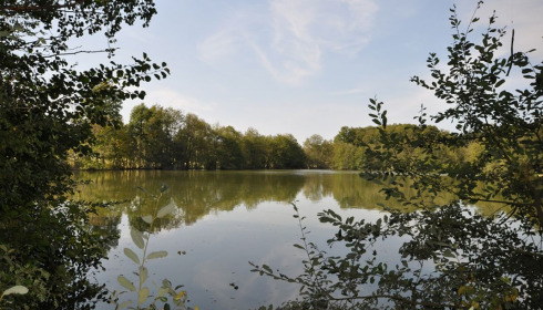 Autels, Carp and Catfish Fishing in France, lake photo 2