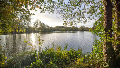 Autels, Carp and Catfish Fishing in France, lake photo 18