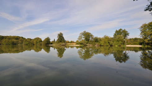 Autels, Carp and Catfish Fishing in France, lake photo 9