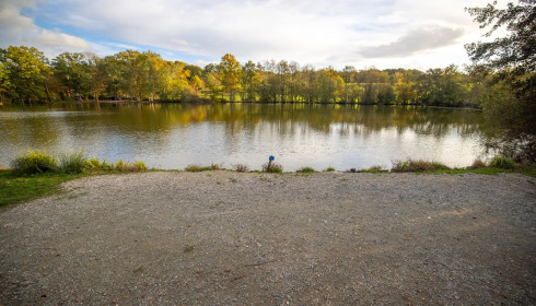Autels, Carp and Catfish Fishing in France, lake photo 17