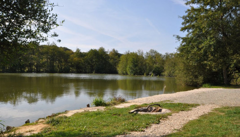 Autels, Carp and Catfish Fishing in France, lake photo 28