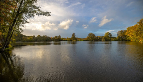 Autels, Carp and Catfish Fishing in France, lake photo 16