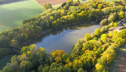 Cailleaux, Easy Carp Lake in France, lake photo 5