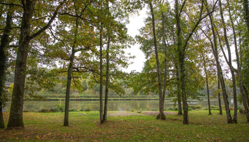 Cailleaux, Easy Carp Lake in France, lake photo 6