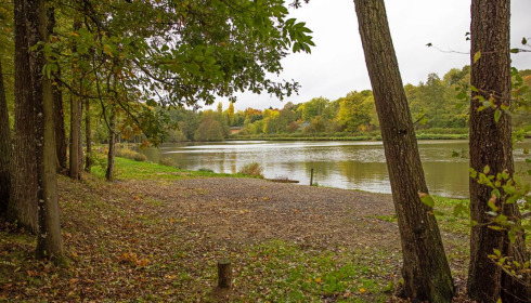 Cailleaux, Easy Carp Lake in France, lake photo 9