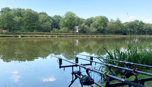 Cailleaux, Easy Carp Lake in France, lake photo 7