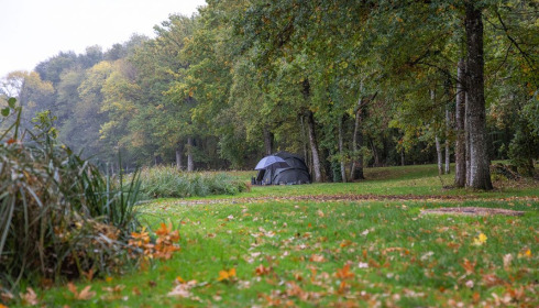 Cailleaux, Easy Carp Lake in France, lake photo 10