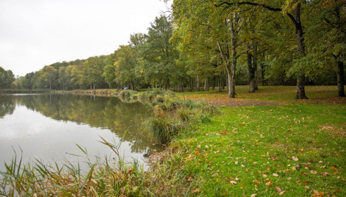 Cailleaux, Easy Carp Lake in France, lake photo 15
