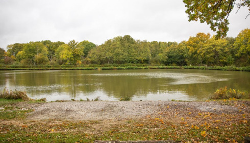 Cailleaux, Easy Carp Lake in France, lake photo 18