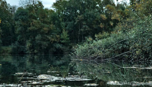 Evaro, Big Carp Fishing France, .