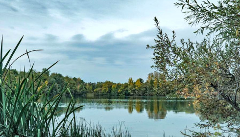 Evaro, Big Carp Fishing France, .
