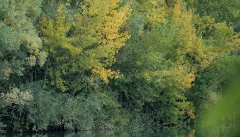Evaro, Big Carp Fishing France, .