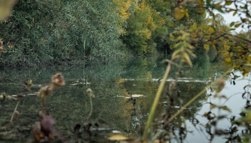 Evaro, Big Carp Fishing France, .