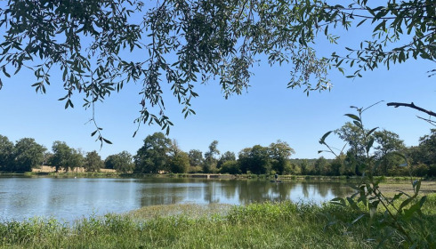 Ragon, Carp Fishing in France, .