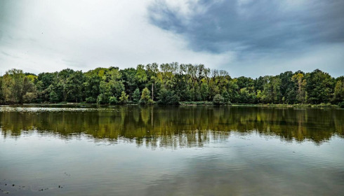 Renarde, Carp Fishing France, lake photo 2