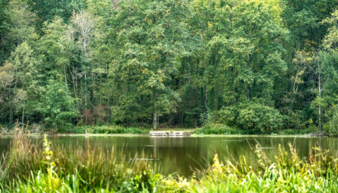 Renarde, Carp Fishing France, lake photo 1