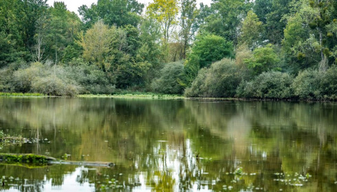 Renarde, Carp Fishing France, lake photo 9