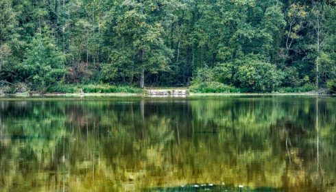 Renarde, Carp Fishing France, lake photo 8