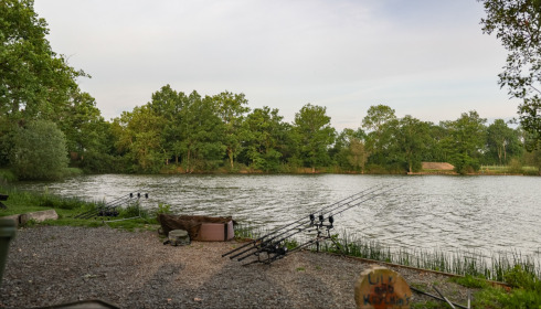 Carrouge, Social Carp Fishing Holidays, Swim 4