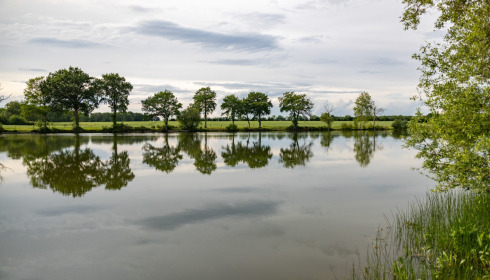 Carrouge, Social Carp Fishing Holidays, lake photo 32