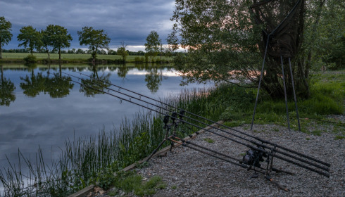 Carrouge, Social Carp Fishing Holidays, lake photo 15
