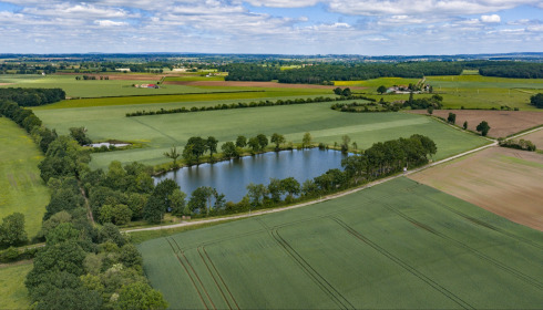 Carrouge, Social Carp Fishing Holidays, lake photo 6