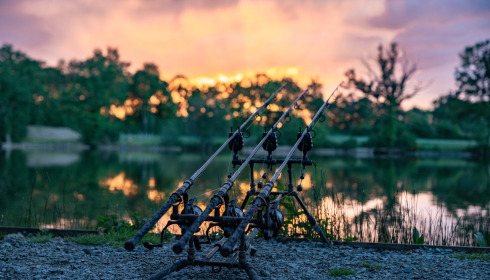 Carrouge, Social Carp Fishing Holidays, lake photo 6