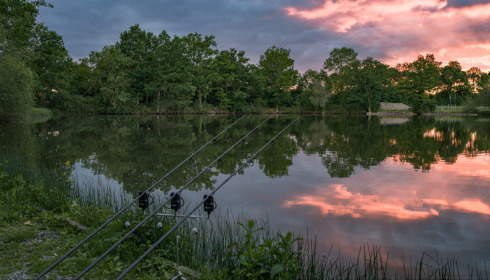 Carrouge, Social Carp Fishing Holidays, lake photo 3