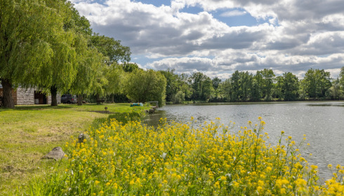 Carrouge, Social Carp Fishing Holidays, lake photo 13