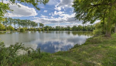 Carrouge, Social Carp Fishing Holidays, lake photo 10
