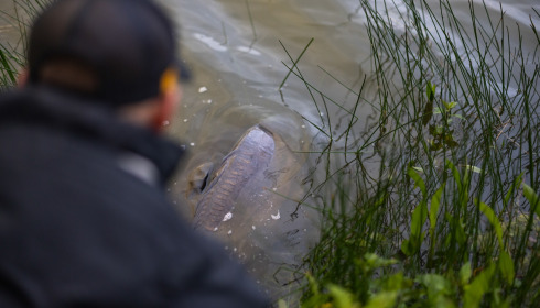 Carrouge, Social Carp Fishing Holidays, lake photo 25