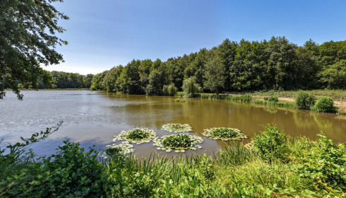 MDP Lake, Small Exclusive Carp Lake France, lake photo 2