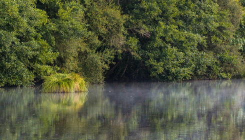 MDP Lake, Small Exclusive Carp Lake France, lake photo 31