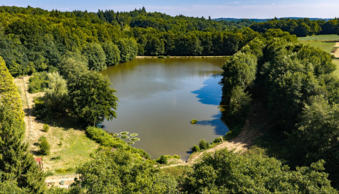 MDP Lake, Small Exclusive Carp Lake France, lake photo 10