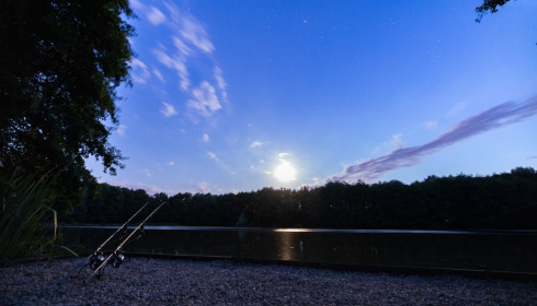 MDP Lake, Small Exclusive Carp Lake France, lake photo 13