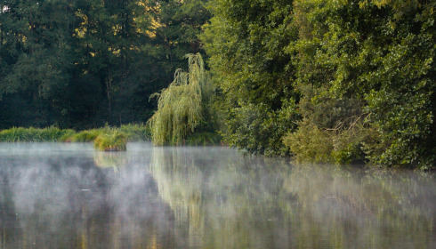 MDP Lake, Small Exclusive Carp Lake France, lake photo 12