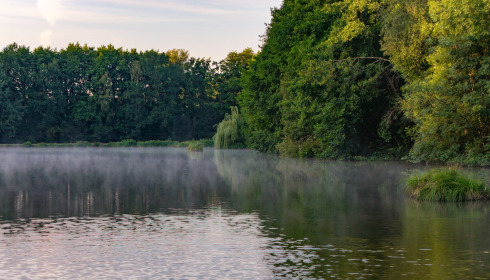 MDP Lake, Small Exclusive Carp Lake France, lake photo 6